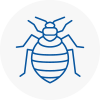 Bed Bug Extermination In Hanham